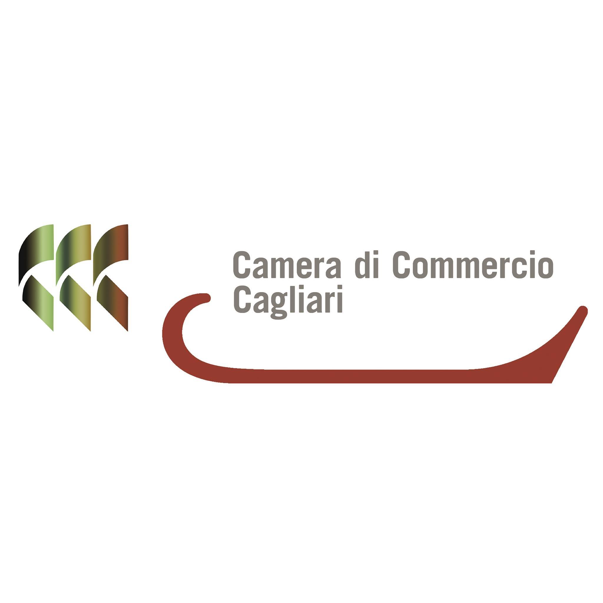 CCIAA Cagliari-Oristano. Si chiude il progetto PCTOpen: hanno aderito 6 scuole, 360 studenti, 26 imprese